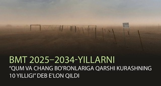 ООН объявила 2025-2034 годы «Десятилетием борьбы с песчаными и пыльными бурями»