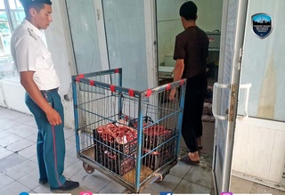 Пойтахт деҳқон бозорларининг бирида истеъмолга яроқсиз гўшт маҳсулотлари аниқланди