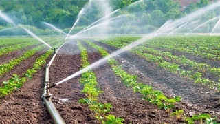 В чем кроется секрет высокого урожая?