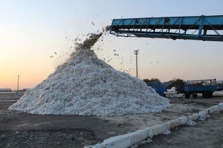 “Kattaqoʻrgʻon paxta tozalash” korxonasidan yirik miqdordagi soliq qarzdorligi undirildi