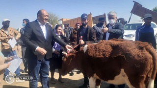 Малообеспеченным семьям в Бухарской области выдали племенной скот