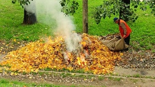 Хазон ёқиш 3,3 миллион сўмгача жарима солинишига сабаб бўлади