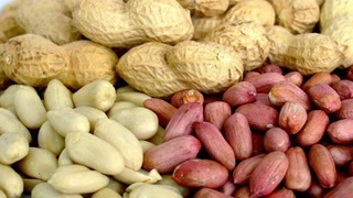 Узбекистан начал экспорт арахиса в Китай