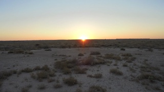 “Борсакелмас” давлат буюртма қўриқхонаси ташкил этилади