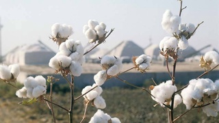 Обеспечивая конституционный принцип приоритета прав и свобод человека