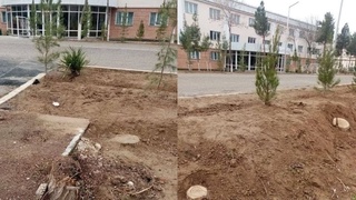 Қарши давлат университетининг 6 нафар масъул ходимларига нисбатан маъмурий иш қўзғатилди