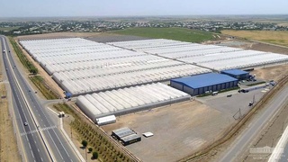 Перемены в Сурхандарье