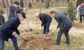 Imkon ham, eʼtibor ham bor, faqat harakat zarur