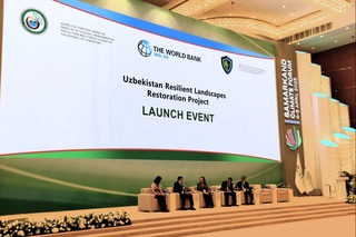 Jahon banki Oʻzbekistonga 153 mln dollar imtiyozli kredit va grantlar ajratadi