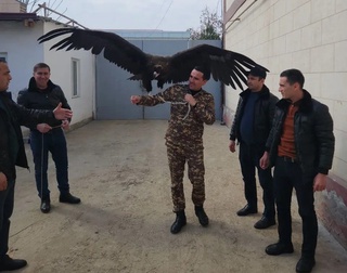 Qizil kitobga kiritilgan burgutni uyida saqlab kelgan fuqaro jarima toʻlaydigan boʻldi