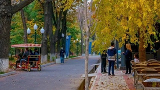 Прогноз погоды на 27 октября