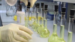 Октябр ойида 6 млн 105 минг литр нефть маҳсулотларининг сифатсизлиги аниқланди