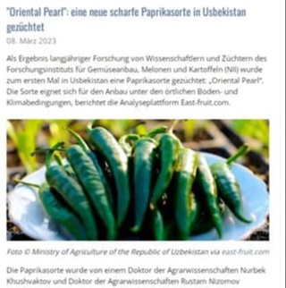 Ўзбекистонда қалампирнинг янги нави яратилгани ГФР мутахассисларининг диққат марказида