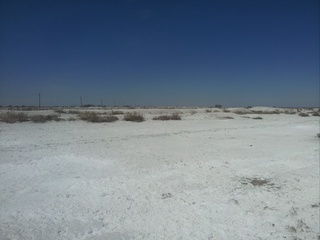 O'zbekistonda tabiiy ofatlardan qaysi soha ko'proq zarar ko'rmoqda?