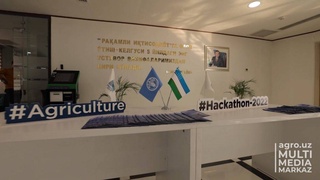 The contest of young programmers "Digital Uzbekistan: Agrohakaton-2022" is being held in Andijan