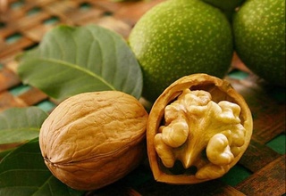 Весной 2022 года площади под грецким орехом в Узбекистане выросли на 1,1 тыс. га