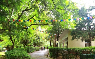 В Узбекистане совершенствуется система оздоровления детей