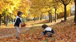 Weather forecast for October 22nd