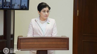 Сенаторы утвердили Стратегию достижения гендерного равенства в Республике Узбекистан до 2030 года