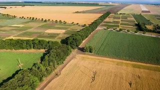 В Узбекистане выделят беспроцентные займы на освоение земельных площадей и их повторному использованию в сельском хозяйстве