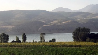 Oʻz vazifasiga sovuqqonlik bilan qaragan oʻrmon noziriga jarima qoʻllanildi