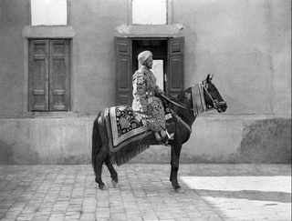Buxoro amiri frantsuz fotografiga qorabayir otini tortiq qilganmi?