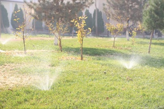 В Ташкенте продолжаются масштабные мероприятия по снижению загрязнения атмосферного воздуха