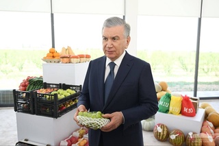 Дар Қувасой 450 гектар боғи интенсивӣ бунёд карда шуд