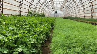 Земля - источник изобилия и процветания