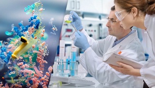 Олимлар микропластикнинг нафас йўли орқали инсон миясигача етиб боришини аниқлади