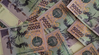 Ўқитувчиларга вақтинчалик тўхтатилган устамалар 1 январдан  тўланади