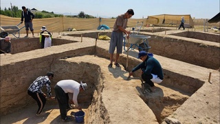 Узбекско-китайская археологическая экспедиция: на Чинортепа изучают следы древних цивилизаций