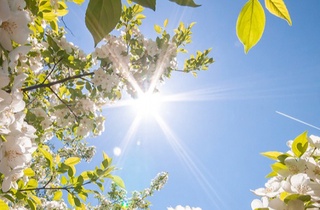 Бугун юртимизда ҳаво ҳарорати 33° гача кўтарилади