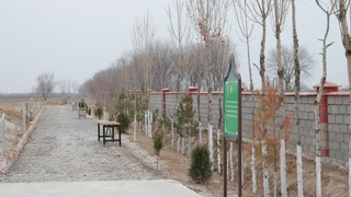 Sirdaryoda qabristonlar obodonlashtirilyapti