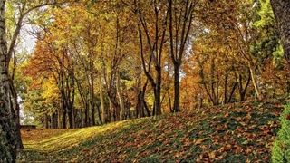 Прогноз погоды на 16 ноября