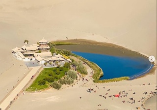 Туялар учун махсус светофор