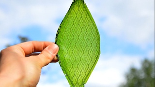 Ученые научились генерировать чистое топливо из света, воды и СО2