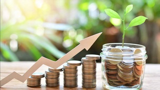 В Узбекистане будет усовершенствована система поддержки «зеленых» государственных закупок