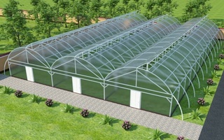 Issiqxona xo'jaliklariga ajratilgan kreditlarda imtiyozli davr 5 yilga uzaytiriladi