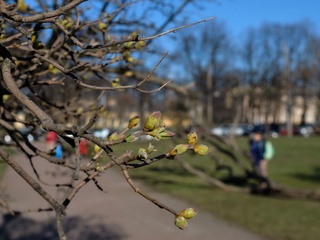 Дам олиш кунларида ҳаво ҳароратининг кўтарилиши кутилади