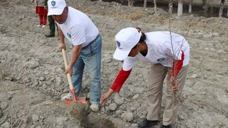 Объединяющая сила природы