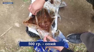 Наркотик моддаларнинг ноқонуний айланмасига чек қўйилди