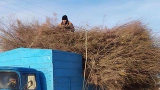 Сохранить природу - долг каждого из нас