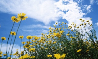 Weather forecast for July 8th