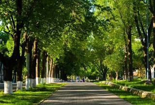 A slight decrease in heat and increased wind are expected in Uzbekistan over the weekend