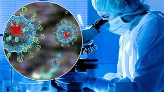 В Великобритании выявили еще одну мутацию коронавируса