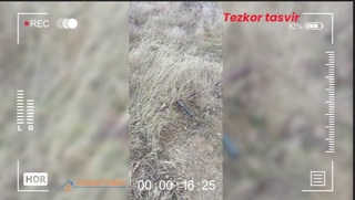 Gʻallaorollik “tadbirkor“ qariyib 1.5 mlrd soʻmlik tabiiy gazni oʻgʻirladi