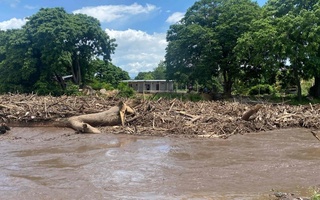 Венесуэла вице-президенти дарахтнинг ағанаб тушиши оқибатида жароҳат олди