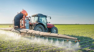 ФАО реализует проект по смягчению вредного воздействия агрохимикатов