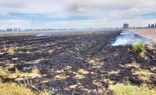 Gʻalladan boʻshagan yerni yoqib yuborgan shaxs jarimaga tortildi